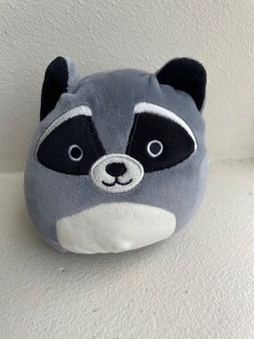 Squishmallows Randy the Raccoon Kelly Toy 5” Mini Plush Collection Kelly 2018